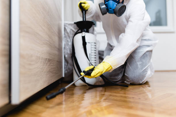Best Exterminator Services  in Lake City, AR