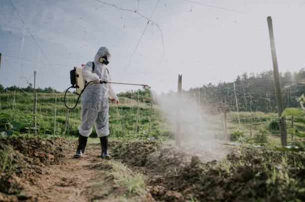 Best Commercial Pest Control Services  in Lake City, AR